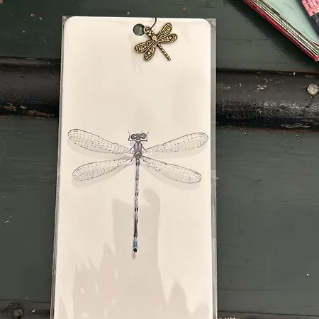 לינה וארוחת בוקר La Libellula *